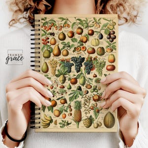 Vintage fruitkaart spiraal notitieboek 6 x 8, gelijnd dagboek, notitieboek reiscadeau, gelinieerd notitieboek, fruitillustraties door Adolphe Millot