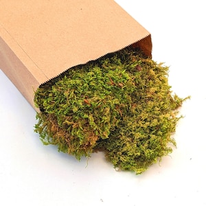 Natural Decorative Dried Flat Green Floristry Moss For Displays & Wreath Making | Autumn | Christmas image 1