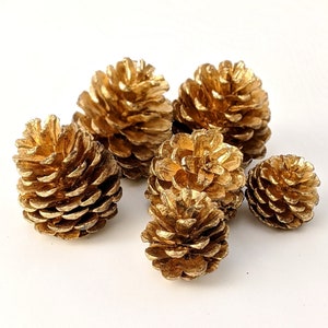 Gold Pine Cones | Pack of 10 | Christmas pine cones | Pine cones for decor & wreath