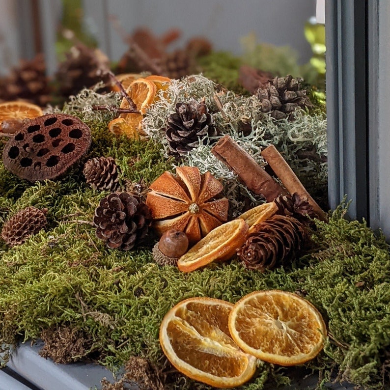 Natural Decorative Dried Flat Green Floristry Moss For Displays & Wreath Making | Autumn | Christmas image 4
