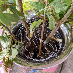 May include: Close-up of a silver metal vase with a wire mesh insert. The vase is filled with green leafy branches and twigs.