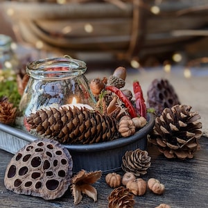 May include: A rustic centrepiece featuring a clear glass jar with a lit candle, surrounded by pine cones, dried red peppers, and other natural elements.