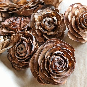 May include: A collection of dried pine cone flowers, each with a rose-like appearance. The brown petals are layered and textured, with some white accents. These natural, earthy-toned flowers are suitable for various craft and decorative purposes.