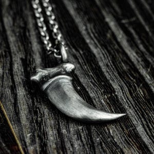 Può includere: Una collana con un ciondolo a forma di artiglio d'argento. L'artiglio è dettagliato e realistico, con una punta affilata e una superficie testurizzata. La collana è realizzata con una catena d'argento.