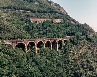 Railway running through the forest in Italy, Digital Item.