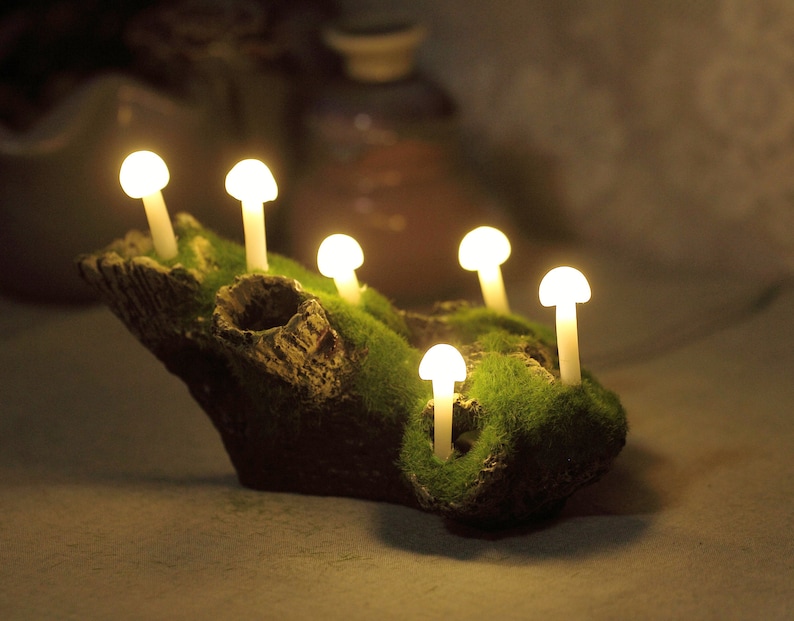 Zen Atmosphere Driftwood Mushroom Desk Lamp Night Light NL001 image 1