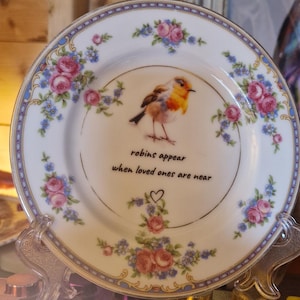Irish lingo/ funny plate / home decor / vintage plate / flower plate / crude/ comedy/ up cycled