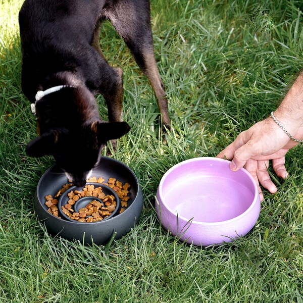 Ceramic Cat Slow Feed Bowl Etsy