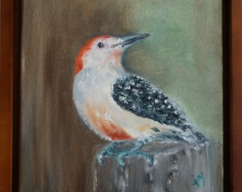 Red-Bellied Woodpecker