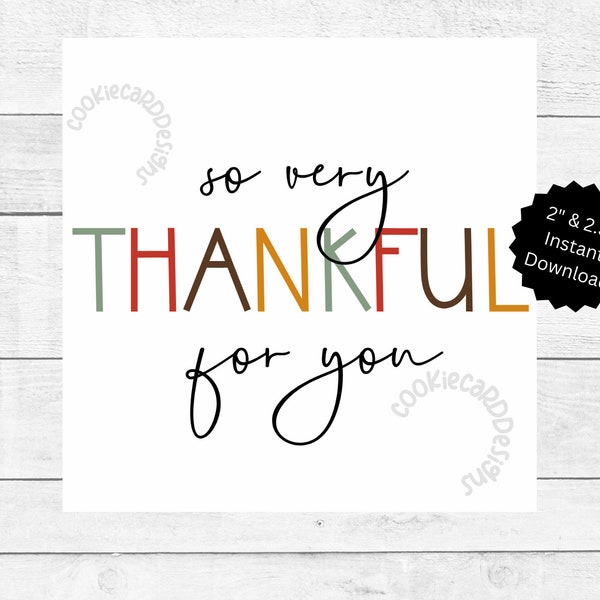 So Very THANKFUL For You! Gift Tag - 2" & 2.5" - Teachers/Staff/Nurse Appreciation Gift Tag/Card-Printer Friendly Printable Instant Download