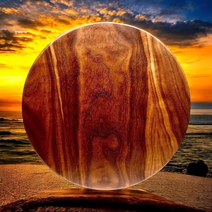 Handmade Black Walnut Cutting Board: 12&quot; Round Functional Art