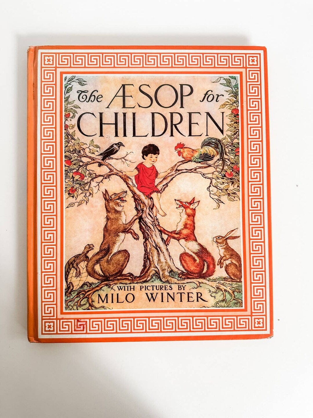 Aēsop the book il_1080xN.5590135344_e5ls.jpg