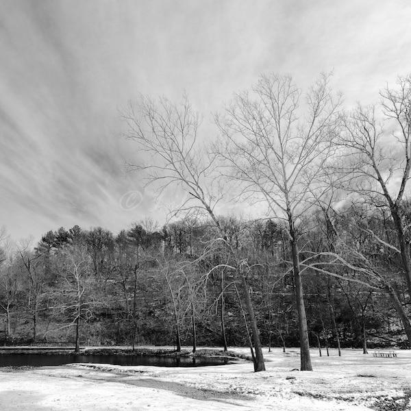 Lake Atalanta in Rogers, AR | Black and White | Snow | Landscape | Photo Art | Digital Download for Personal Use