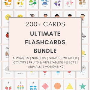 BUNDLE FLASHCARDS PER BAMBINI, Flashcard per bambini, Flashcard stampabili, Flashcard digitali, Flashcard alfabetiche, Flashcard numeriche, Scuola materna