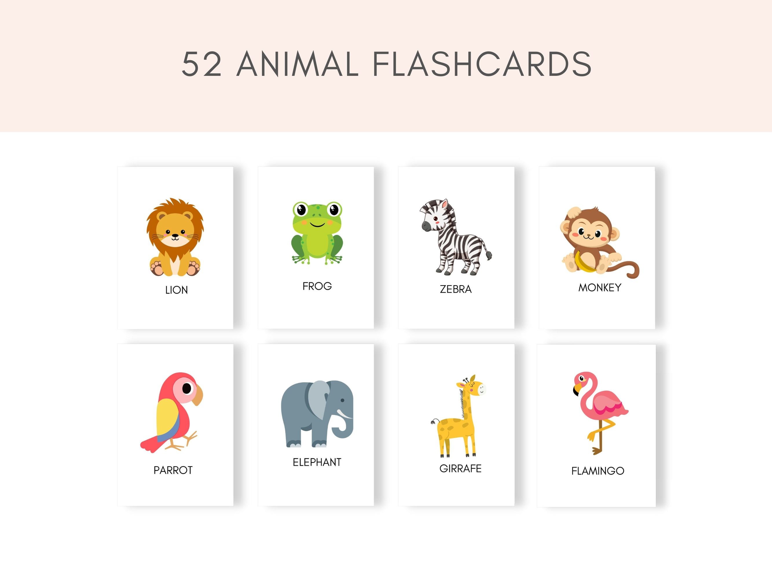 Animal Flashcards, Printable Flashcards, Preschool Flashcards, Toddler Flashcards, Baby Flashcards, Animal Cards Set, Flashcards PDF