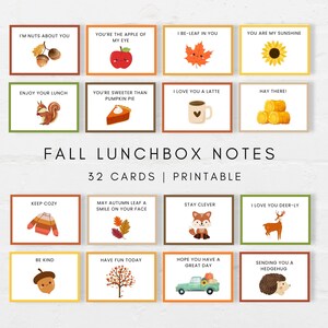 Brighten Up Your Childs Lunch with these fun Lunchbox jokes and notes. This printable bundle includes more than 250 cards.