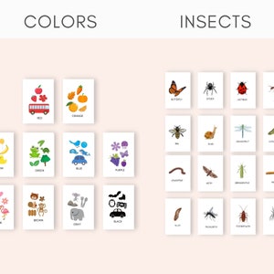 May include: A set of flashcards featuring colorful illustrations of objects and insects. The flashcards are labeled with the corresponding color or insect name, such as "Red", "Orange", "Butterfly", and "Spider".