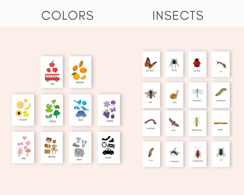 May include: A set of flashcards featuring colorful illustrations of objects and insects. The flashcards are labeled with the corresponding color or insect name, such as "Red", "Orange", "Butterfly", and "Spider".