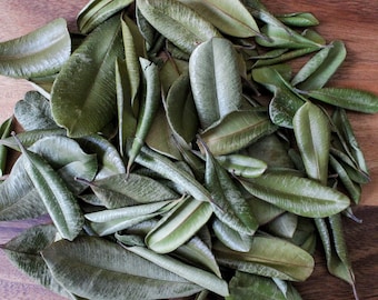 Grenada Borden | West Indian Bay Leaf