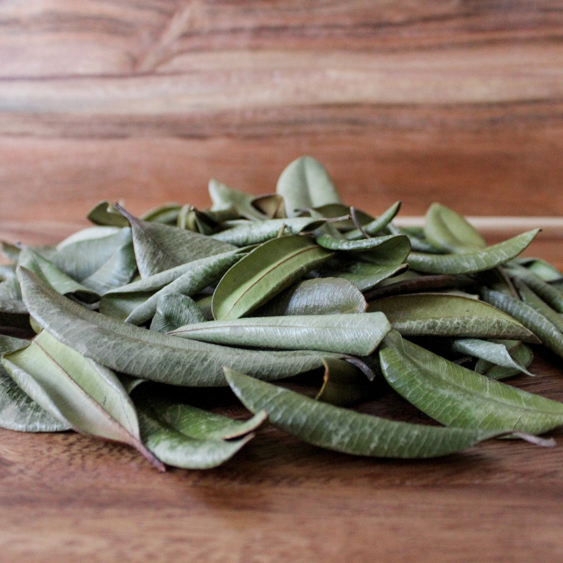 Grenada Borden West Indian Bay Leaf Etsy