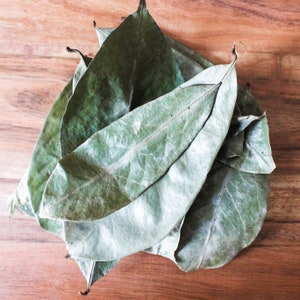 Grenadian Soursop Leaf