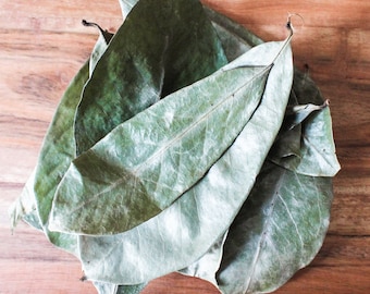 Grenadian Soursop Leaf