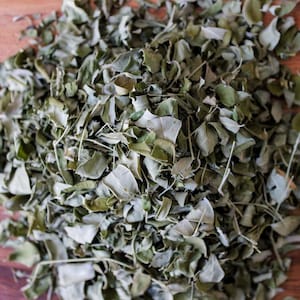Grenada Moringa Leaf