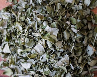 Grenada Moringa Leaf