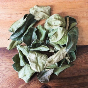 Grenadian Kaffir | Makrut Lime Leaf