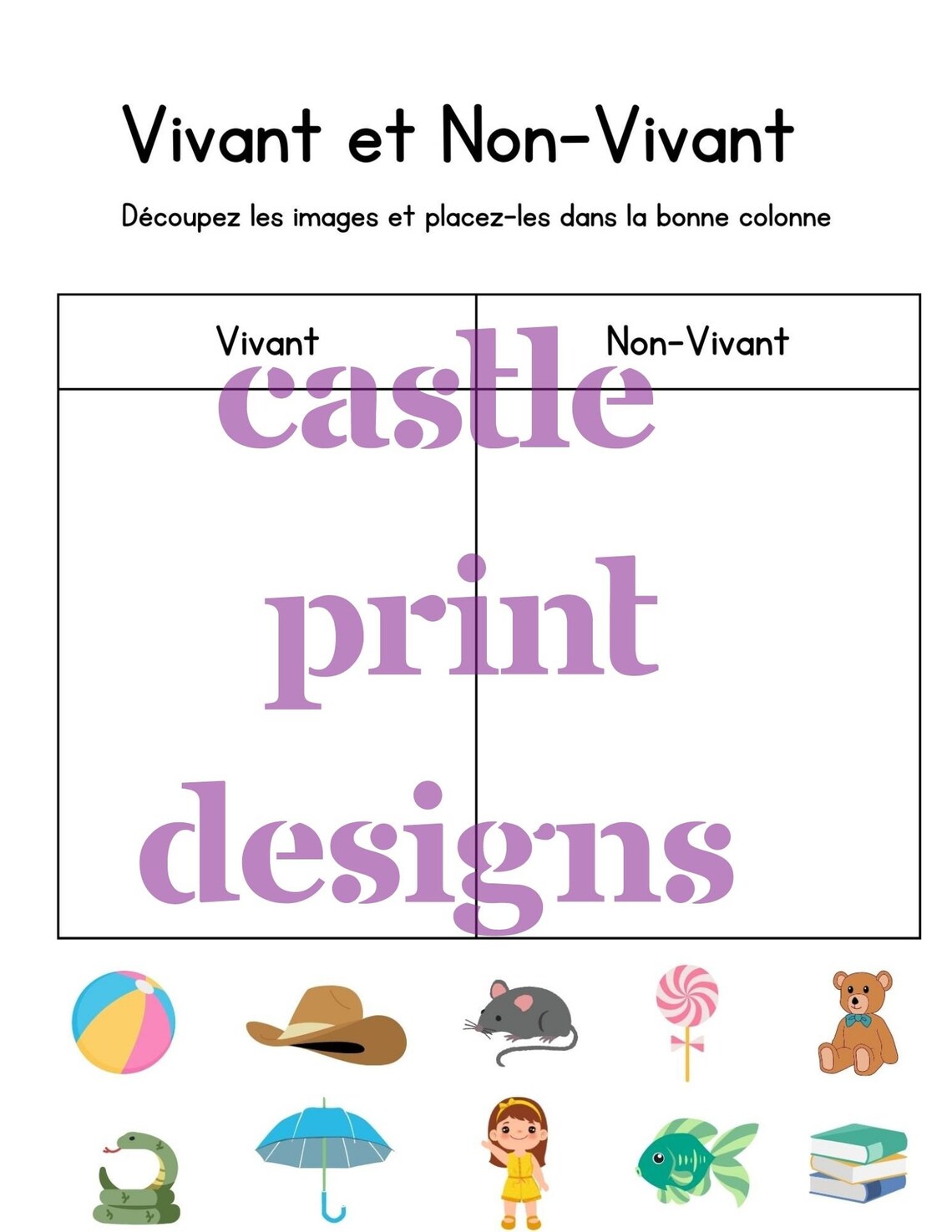 Grade 1 Worksheets in French - Etsy