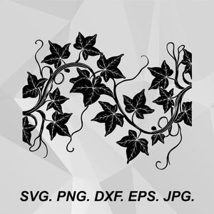 Vine SVG: Black Ivy Botanical Border Line Art Illustration