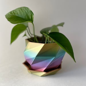3D-utskriven polygonväxtkruka med uppsamlingsbricka