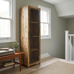 May include: A tall, wooden cabinet with a mesh door and a natural wood finish. The cabinet has a dark metal handle and is set against a light green wall. The cabinet is approximately 180 cm tall and 60 cm wide.