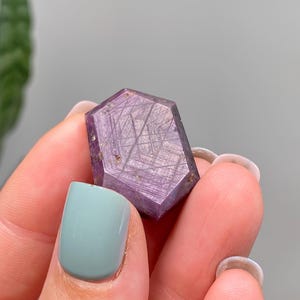 May include: A hexagonal, purple crystal with internal linear patterns. The crystal is held between fingers with light blue nail polish. The background is blurred, with a glimpse of green foliage.