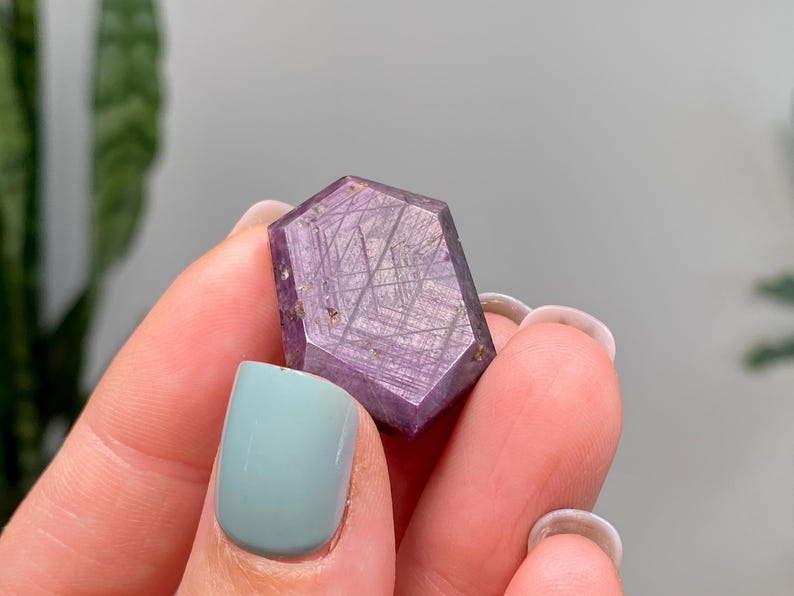 May include: A hexagonal, purple crystal with internal linear patterns. The crystal is held between fingers with light blue nail polish. The background is blurred, with a glimpse of green foliage.