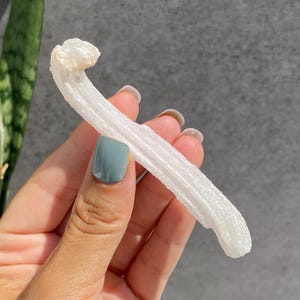 Peut inclure: Un cristal blanc et allongé avec une surface texturée. Le cristal est tenu dans une main avec un ongle peint en bleu-vert. L'arrière-plan est un mur gris et une plante verte.
