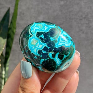 May include: A polished, oval-shaped gemstone with a striking pattern of teal and dark green. The stone's surface displays a mosaic-like design, with the teal sections resembling flowing water. The gemstone is held in a hand, with a gray background and green plant in the background.
