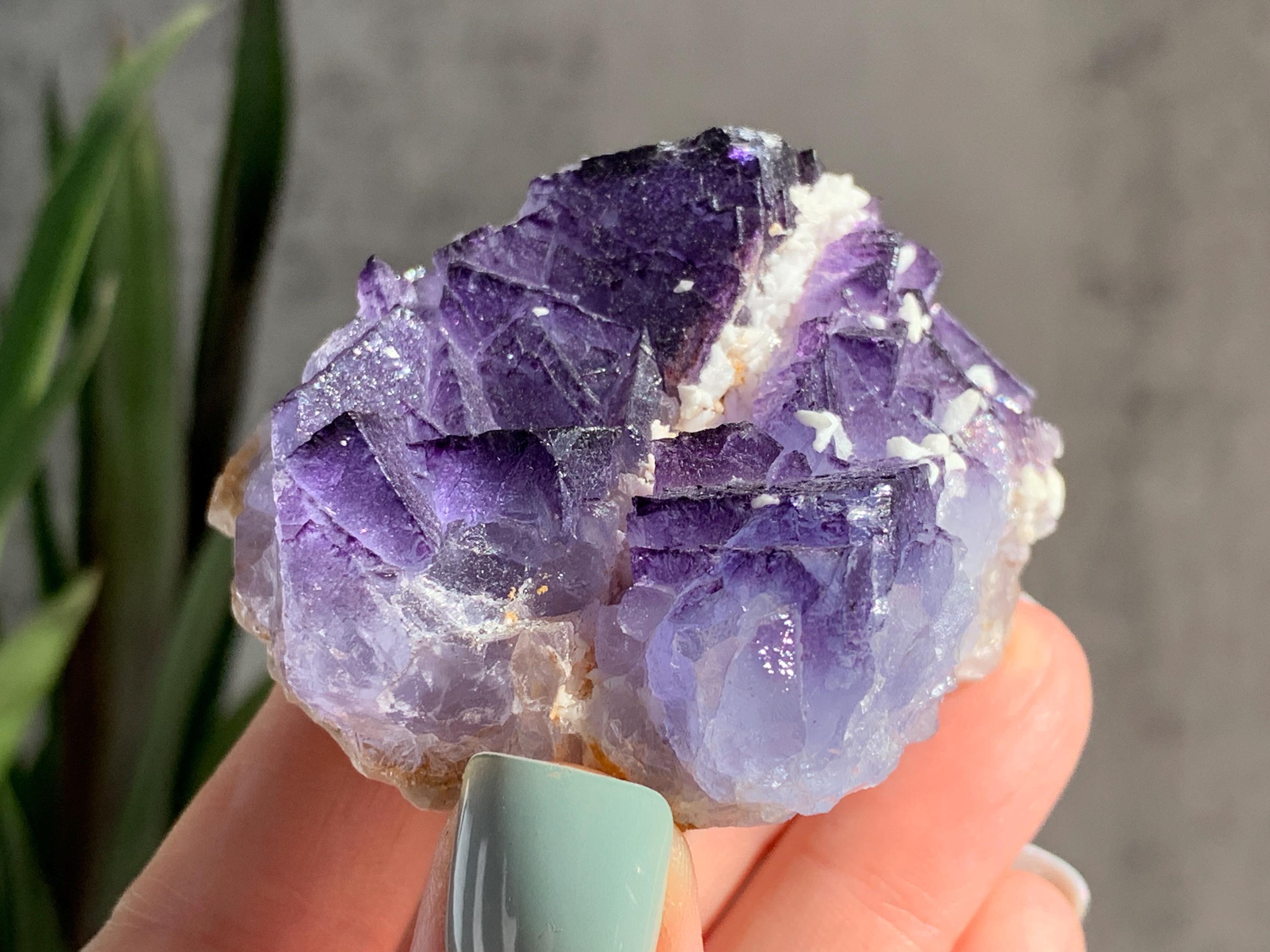 Cubic Fluorite Fluorite Purple Crystal Pretty Purple Fluorite With