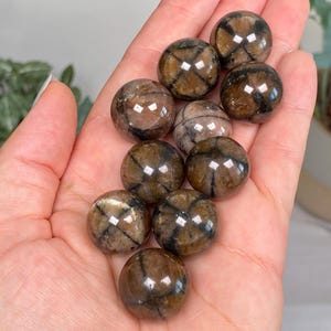 May include: A collection of brown and tan cross stone spheres, each with a distinct cross pattern. The spheres are held in a hand, showcasing their polished surfaces and natural variations. The spheres are a natural stone product.