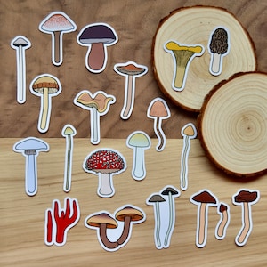 Many Mushroom Sticker Set (21)