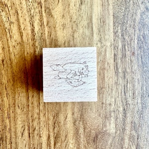 Manatí, la batata flotante