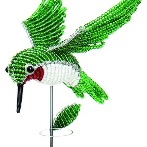 Rain Gauge, Hummingbird