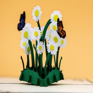 Pop-up Daisies, 3D Spring Card, Invitation Folding Card, Birthday Folding Card, Pop-up Easter Card, Good Recovery, Pop up Voucher