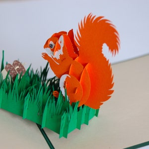 Red Squirrel - carte pliante / carte 3D / pop-up / Anniversaire / Mariage