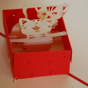 Chats dans une boîte cadeau, carte 3D / carte pop-up