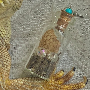 Dragon Lair Earring | Adventure Fantasy Tincture Jewelry For You Fun Unique Style!