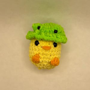 Crochet Duck with Frog Hat
