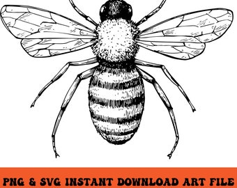 Hand Drawn Bumble Bee - Instant Digital Download - PNG & SVG