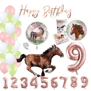 Party box "Horses" - Children's birthday - Party decoration - Balloons - Party - Balloon garland - Birthday - Children - Horse party - Horse