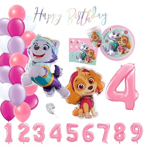 Partykarton "Paw Patrol Girls" - Kindergeburtstag - Partydeko - Ballons - Party - Ballongirlande - Geburtstag - Kinder - Set - Mädchen
